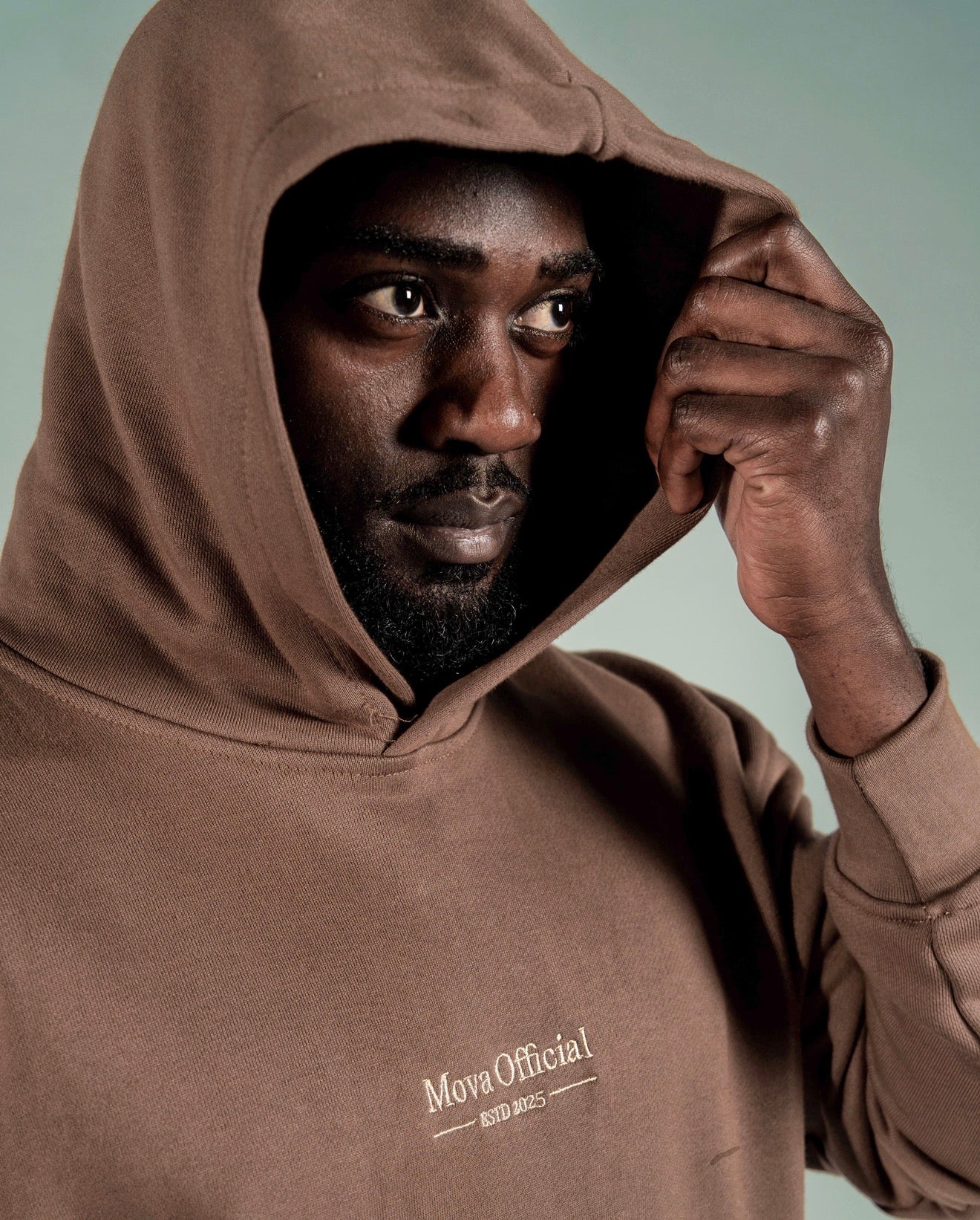 Brown Hoodie (Unisex)